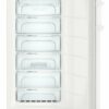 Liebherr GN4135-21 Gefrierschrank