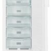 Liebherr GNP 1913-22 Gefrierschrank