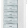 Liebherr GNP 2313-22 Gefrierschrank