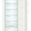 Liebherr GNi 4335-21 Gefrierschrank