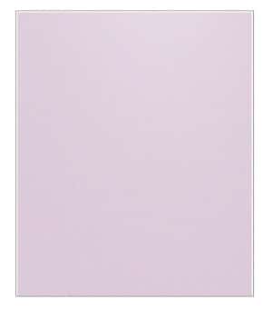 Samsung Bespoke RA-B23EBBCLGG Türpanel
