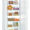 Liebherr GNw 1660-7 Gefrierschrank